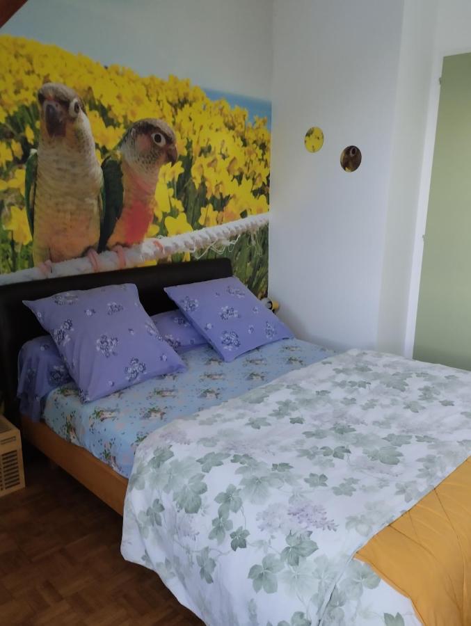 Chambres D'Hotes Du Clos Du Roi ปงตอร์ซง ภายนอก รูปภาพ